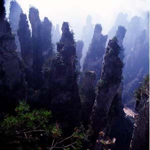 【純玩拼團(tuán)線路】下午班：鳳凰古城、張家界、天子山三晚四日游