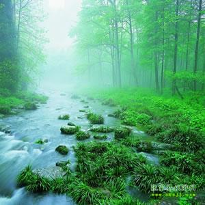 【純玩散拼尊享系列3】張家界、天子山、袁家界、黃龍洞、鳳凰三晚四日游