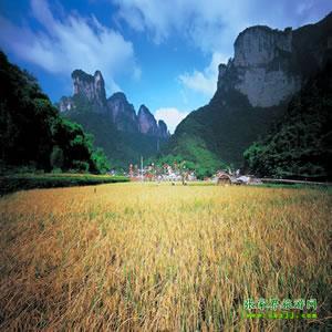 張家界往返純玩散拼：矮寨大橋、德夯苗寨、鳳凰古城、芙蓉鎮(zhèn)二日游